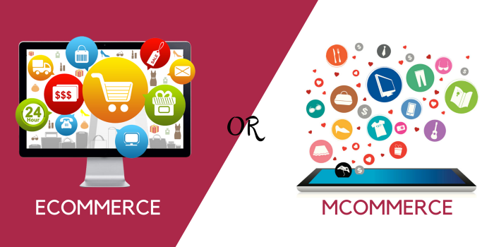 Differences in Mobile and Web eCommerce
